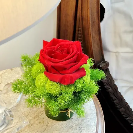 Terrazze Navona Rome